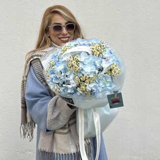 هورتانسیا و بابونه