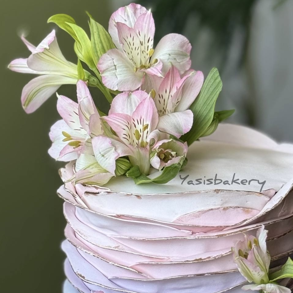 کیک بهار، یاسیز بیکری
