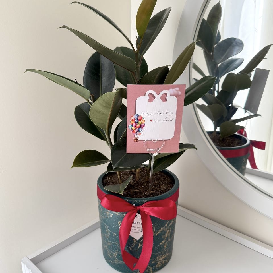 تصویر سفارش سحر م