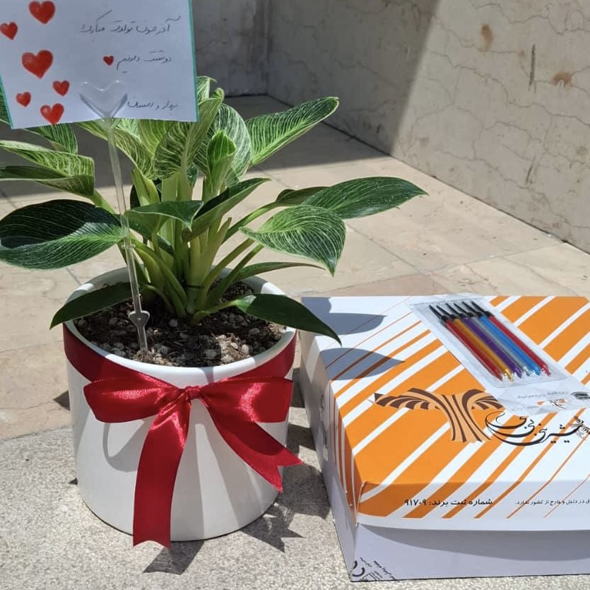 تصویر سفارش حسن ر.