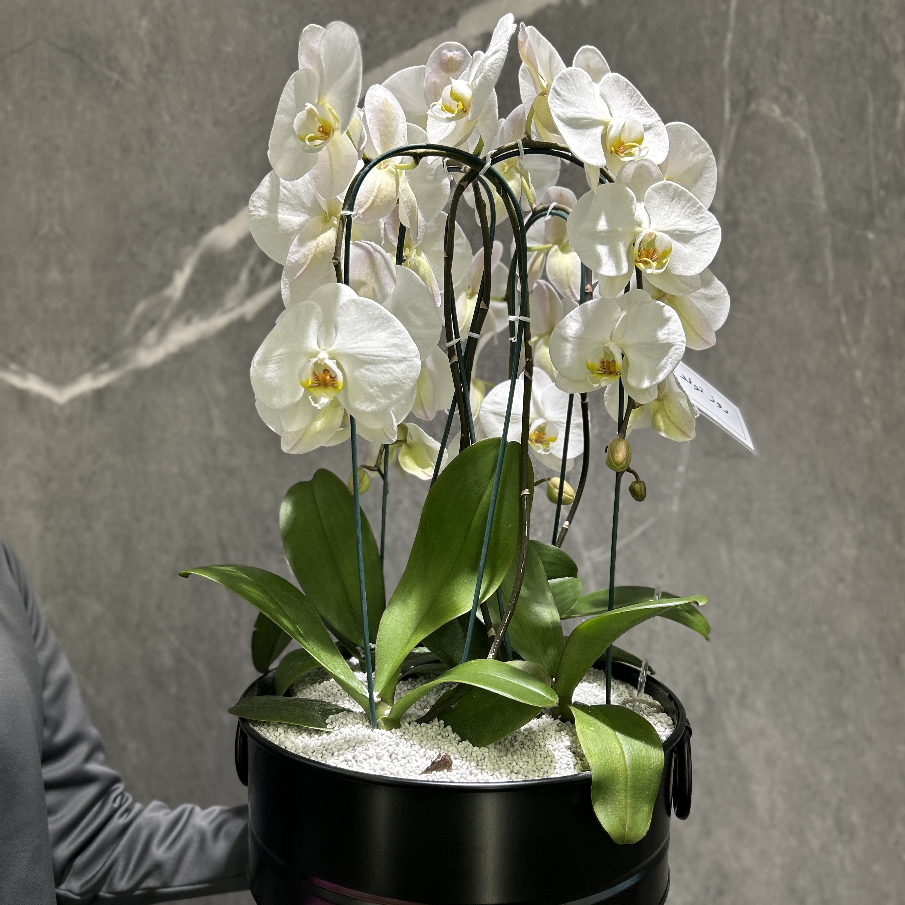 تصویر سفارش مونا ه.