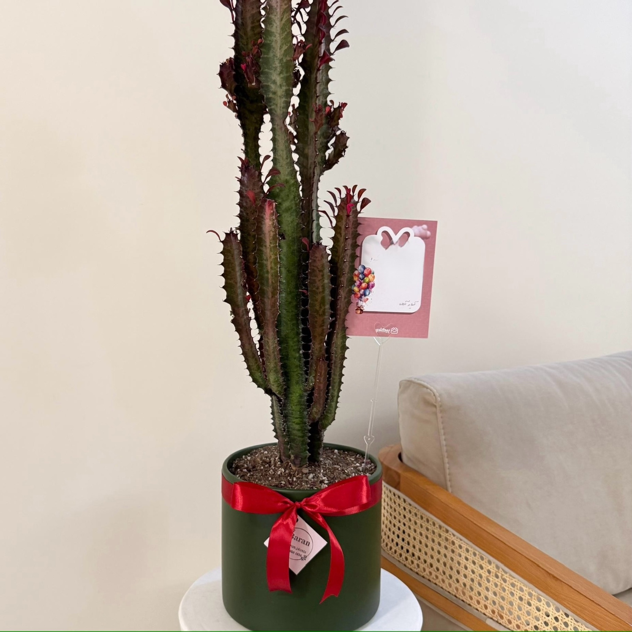 تصویر سفارش Aida M