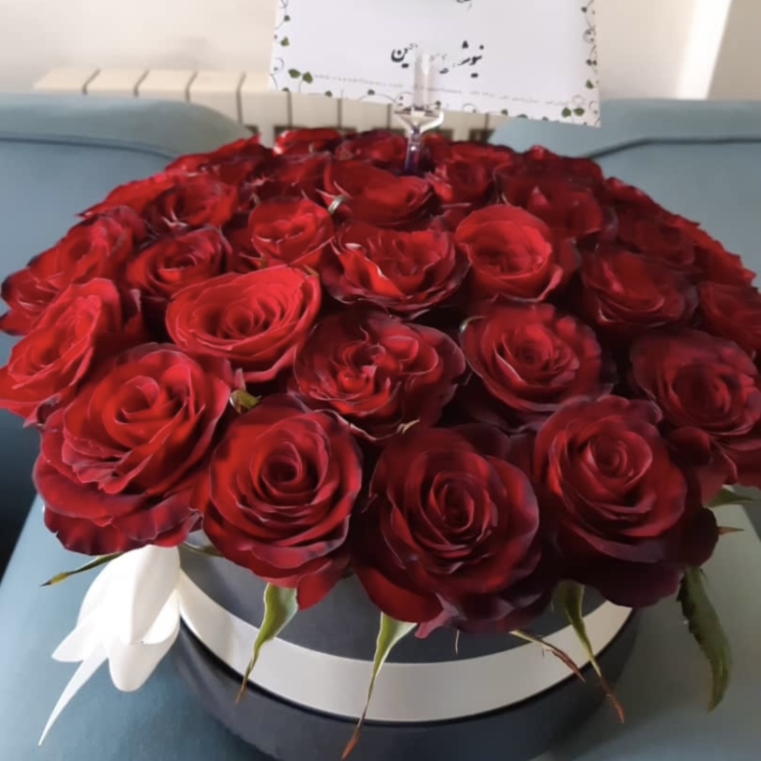 تصویر سفارش Niosha