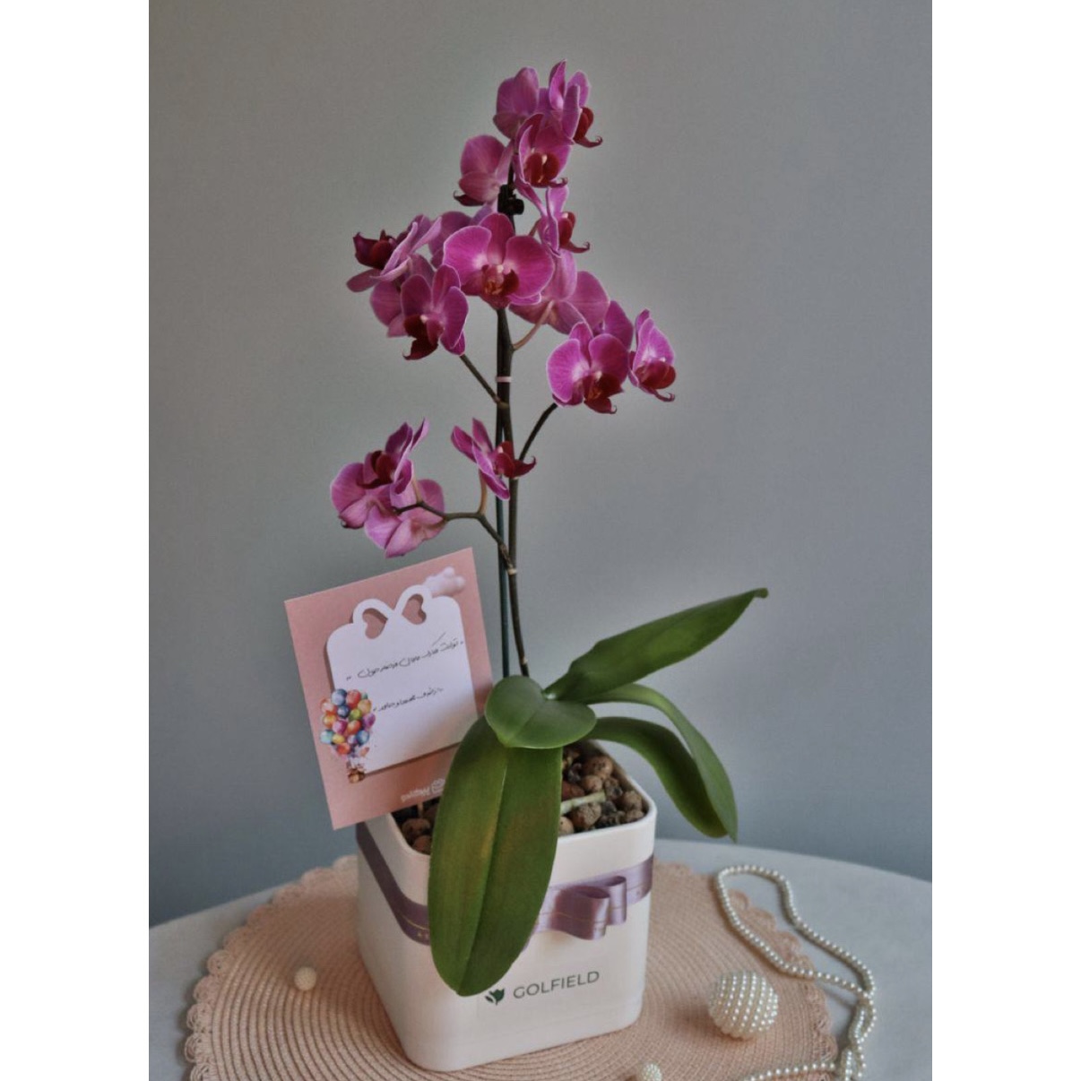 تصویر سفارش مهسا