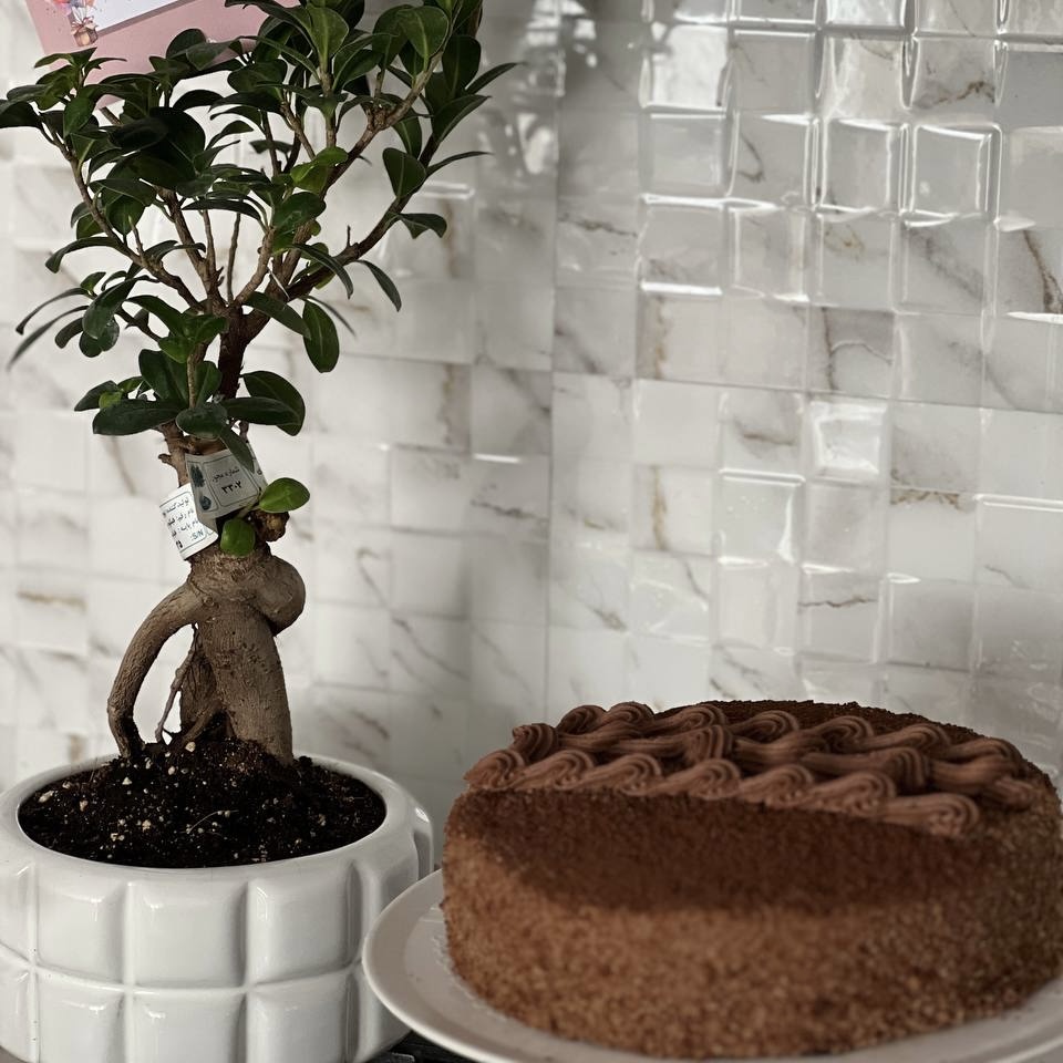 تصویر سفارش امین